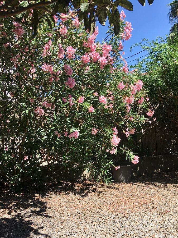 Dans Une Maison, Appartement Independant Et Jardin Perpignan Luaran gambar
