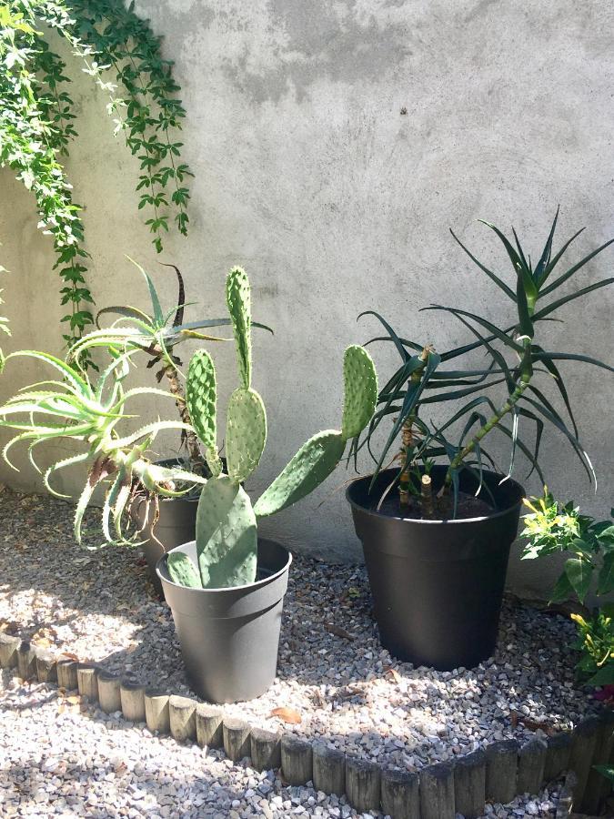 Dans Une Maison, Appartement Independant Et Jardin Perpignan Luaran gambar